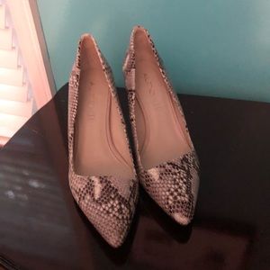 New aldo shoes